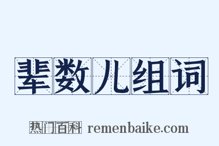 辈数儿组词是什么意思的图片